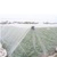 BYWWANG 2x9m barriera Netta ortaggi Frutta Fiori e Piante Protezione Serra Protezione Solare Protezione da Usura Netto