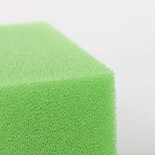 Generico-Oase Biotec Screenmatic 18 & 36 Ricambio Stagno Blu Grossa e Verde Fine Spugna Filtro(Confezione da 16)