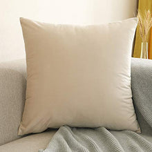 LBLQWE Cuscino per Ufficio, Cuscino in Peluche Tinta Unita, Ipoallergenico e Antipolvere, Cuscini Morbidi di qualità per Hotel, Velluto-Grey