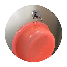 LumenTY 2 ganci a ventosa da parete con resistente acqua e ruggine, carico massimo 6 kg, per bagno e cucina, doppio gancio in acciaio inox