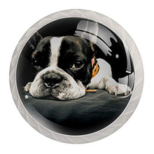 Maniglie per cassetti Manopole per cassetti Manopole rotonde Confezione da 4 per armadietto, cassetti, cassettiere, cassettiere ecc - cane