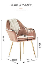 LILICEN Nordic Ins Pranzo Sedia da Pranzo Net Red Makeup Sedia per Unghie Sedia per Unghie Sgabello Domestico Sgabello Ristorante Sedia Sedia Salotto Sedia Lounge con Cuscino