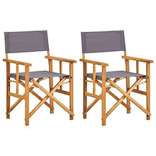 vidaXL 2X Legno Massello di Acacia Sedie da Regista Pieghevoli Leggere Robuste Seggiole da Giardino Campeggio Spiaggia Blu