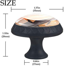 Sea Whale Sunrise Pomelli per Porta Set di 4 Pomelli per Mobili Manopole per Cassetti Cucina Armadio Vetro