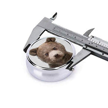 Baby Bear - Contenitore per pillole rotondo colorato a 3 scomparti, in metallo, per medicina, vitamina