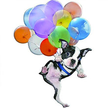 Ornamento da Appendere per Auto di Gatto/Cane con Palloncino Colorato, Ornamento da Appendere Per Auto di Gatto e Palloncino, Ornamento da Appendere per Cane e Palloncino