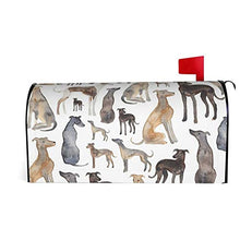 Greyhounds Wippets and Lurcher Dogs - Copertura magnetica per cassetta postale per giardino, cortile, dimensioni standard, 53 x 45 cm
