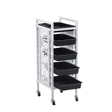 YIN YIN Carrello per Ripiani Carrello - Scaffale Mobile Multifunzionale Utensili per Parrucchieri Multistrato Car Barber Shop Beauty Shop Carrello Piccolo Mobile Carrello a rulli (Color : B)