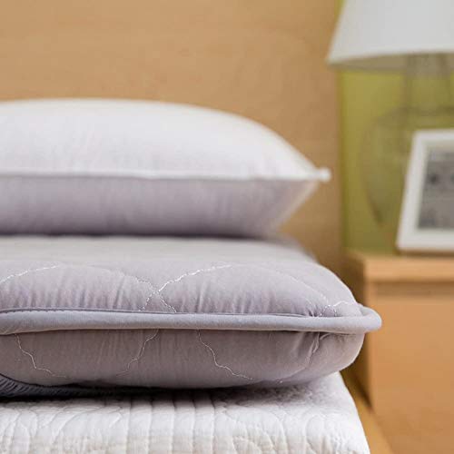 LJYY Coprimaterasso Futon, Tappetino Morbido Poliestere [Antracite] -A 120x200 cm (47x79 Pollici)