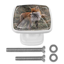 Volpe animale 4 PCS Pomelli per Porta, Pomolo per Mobile, Pomelli per Mobili con Viti, Maniglia per Armadietto, Pomelli per Porta, Pomelli per Cassetti per Porta, Armadio, Cassetto e Credenza