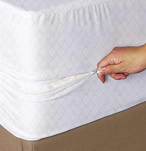 JENNY SESAL Coprimaterasso Matrimoniale/Singolo elastico con Cerniera Spugna Jersey (Singolo)