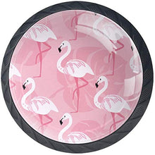 Fenicottero tropicale modello rosa Pomelli per Porta Set di 4 Pomelli per Mobili Manopole per Cassetti Cucina Armadio Vetro