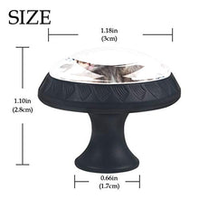 Un gruppo di gatti 4 PCS Pomelli per Porta, Pomolo per Mobile, Pomelli per Mobili con Viti, Maniglia per Armadietto, Pomelli per Porta, Pomelli per Cassetti per Porta, Armadio, Cassetto e Credenza
