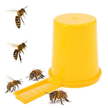 MAGT Bee Feeder 2pcs Apicoltura Honey Entrance Water Drinker Bee Feeder Bottle Set Bowl Tool