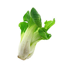 Piccola selezione di verdure dall'Asia - set di semi con 4 verdure asiatiche tipiche per wok e vaporiera