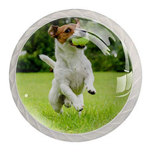 Maniglie per cassetti Manopole per cassetti Manopole rotonde Confezione da 4 per armadietto, cassetti, cassettiere, cassettiere ecc - cane che corre
