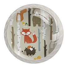 Cartoon Waldtiere 4 PCS Pomelli per Porta, Pomolo per Mobile, Pomelli per Mobili con Viti, Maniglia per Armadietto, Pomelli per Porta, Pomelli per Cassetti per Porta, Armadio, Cassetto e Credenza