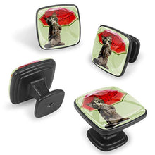Katie tiene l'ombrello Pomelli per Porta Set di 4 Pomelli per Mobili Manopole per Cassetti Cucina Armadio Vetro