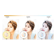AFANG Luce Videoconferenza, Kit Luci Conferenza Luminosità Regolabile Illuminazione Laptop Riunioni Lavoro Remoto Streaming Live, Fotocamera Trucco Live Fill Light Selfie Lamp,B