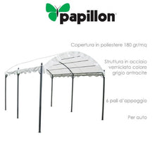 Papillon - Gazebo In Acciaio Verniciato Grigio Antracite 300X400 Cm Per Auto Aveiro