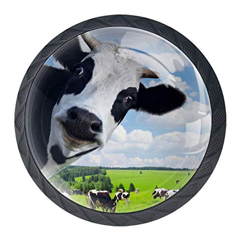 Wetia Mucca Carina per la Cucina di casa Armadio Armadio Armadio Nero 3,5 x 2,8 cm