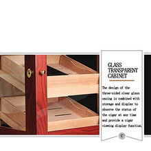 Posacenere, scatola di sigari, legno di cedro importato, umidità costante, umidificatore, vetrina