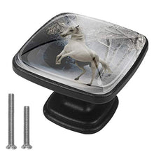 cavallo bianco 4 PCS Pomelli per Porta, Pomolo per Mobile, Pomelli per Mobili con Viti, Maniglia per Armadietto, Pomelli per Porta, Pomelli per Cassetti per Porta, Armadio, Cassetto e Credenza