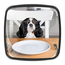 Portrait of a cute dog waiting for meal by the kitchen table Pomelli per Porta Set di 4 Pomelli per Mobili Manopole per Cassetti Cucina Armadio Vetro