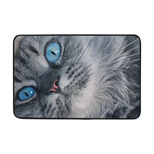 Wdskbg Zerbini Carpet Cat Muzzle Blue Eyed Fluffy Zerbino Indoor Outdoor EntranceFloor Mat Bathroom 23.6 X 15.7 Pollici
