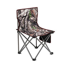 FOMT Tavolo da Picnic Pieghevole E Set da Spiaggia,Mobili con Sedia con Borsa Leggera da Giardino All'aperto Picnic Sedia da Pesca in Spiaggia Usata per Barbecue Picnic Party in Giardino,3 Piece Set