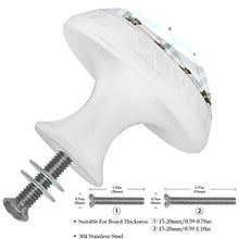 nordovest del Pacifico 4 PCS Pomelli per Porta, Pomolo per Mobile, Pomelli per Mobili con Viti, Maniglia per Armadietto, Pomelli per Porta, Pomelli per Cassetti per Porta, Armadio, Cassetto e Credenza