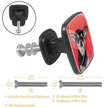 Bellissimo cane chihuahua Pomelli per Porta Set di 4 Pomelli per Mobili Manopole per Cassetti Cucina Armadio Vetro