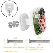 Set di 4 maniglie rotonde per armadio da cucina, credenza, cassettiera, cassettiera, con viti, per cucina, comò, armadietto, bagno, armadio e cane animale