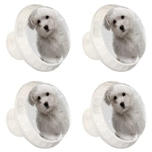 Maniglie per cassetti Manopole per cassetti Manopole rotonde Confezione da 4 per armadietto, cassetti, cassettiere, cassettiere ecc. Cane Havanese