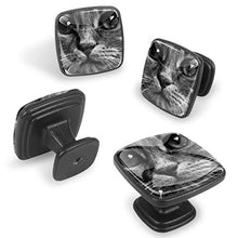 Gattino 4 PCS Pomelli per Porta, Pomolo per Mobile, Pomelli per Mobili con Viti, Maniglia per Armadietto, Pomelli per Porta, Pomelli per Cassetti per Porta, Armadio, Cassetto e Credenza