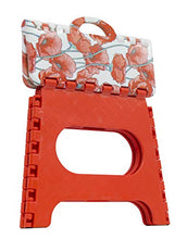 Arregui TB-027-D1 - Sgabello pieghevole da 27 cm di altezza, papavero, 27 x 29 x 22 cm (altezza x larghezza x profondità)