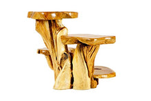 Windalf Naturale - Panchina per fiori con 4 ripiani Kalytta 78 cm, in legno di radice
