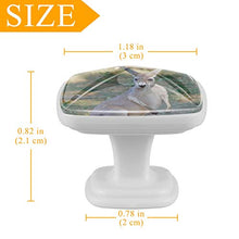 canguro 4 PCS Pomelli per Porta, Pomolo per Mobile, Pomelli per Mobili con Viti, Maniglia per Armadietto, Pomelli per Porta, Pomelli per Cassetti per Porta, Armadio, Cassetto e Credenza