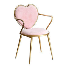 EOJSORK Rosa Sedia Trucco, Pranzo Sedie da Pranzo Cucina Soggiorno Sedie Vanity Trucco Tempo Libero Accent Imbottiti