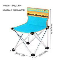 TOL Sedia Pieghevole Portatile per Adulti Sedia da Prato all'aperto con Custodia da Tasca da Tasca per Carry Bag Bag Giocatore PEDIA Piatta PIASTURA Assistenza Pesante Duty Duty Supporto 220 LBS