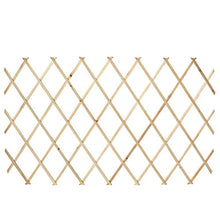 Tidyard Set 5 Pz Recinzione con Traliccio Estensibile in Legno | 180 x 90 cm