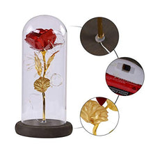 QYMX Eternal Flower Gift Squisito Regalo di Natale Bellezza e Bestia Rosa in Pallone LED Rose Cupola di Vetro Ideale per San Valentino Regalo Eternal Flower LED Night