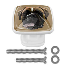 Faccia di cane animale 4 PCS Pomelli per Porta, Pomolo per Mobile, Pomelli per Mobili con Viti, Maniglia per Armadietto, Pomelli per Porta, Pomelli per Cassetti per Porta, Armadio, Cassetto e Credenza