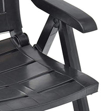 CCLLA Sedie da Giardino, Sedie da Giardino Pieghevoli 2 Pezzi, Sedia da Regista in plastica Antracite