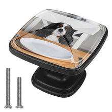 Cane carino ritratto in attesa di pasto dal tavolo della cucina Pomelli per Porta 4 Pezzi Manopole per Mobili da Cucina Pomelli per Mobili Pomelli Per Cassetti/Cucina/Armadio Antichi
