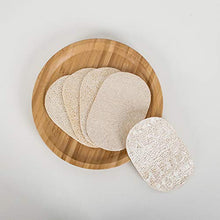 COJJ Panno abrasivo Spazzola luffa canovaccio da Cucina Non Facile da macchiare Olio lavapiatti Panno luffa pentola rondella vegetale Zucca Panno