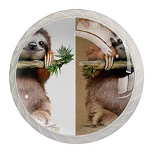 Maniglie per cassetti Manopole per cassetti Manopole rotonde Confezione da 4 per armadietto, cassetti, cassettiere, cassettiere ecc. bradipo