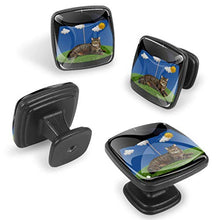 Set di 4 pezzi con maniglia quadrata per armadio da cucina, credenza, cassettiera, cassettiera, con viti, per cucina, comò, armadietto, bagno, armadio, gatto divertente