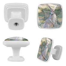 canguro 4 PCS Pomelli per Porta, Pomolo per Mobile, Pomelli per Mobili con Viti, Maniglia per Armadietto, Pomelli per Porta, Pomelli per Cassetti per Porta, Armadio, Cassetto e Credenza
