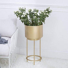 N/Z Home Equipment Flower Stand Tall Multi Level Floor Standing Balcony Flower Shelf Modern Minimalist Living Room Interior